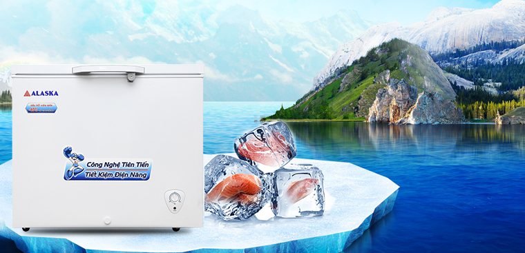 8 lỗi thường gặp trên tủ đông? Nguyên nhân và cách khắc phục